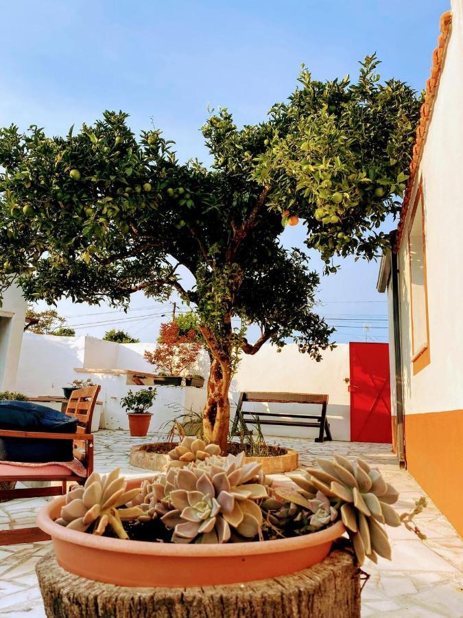 Moita Cottage Bagian luar foto