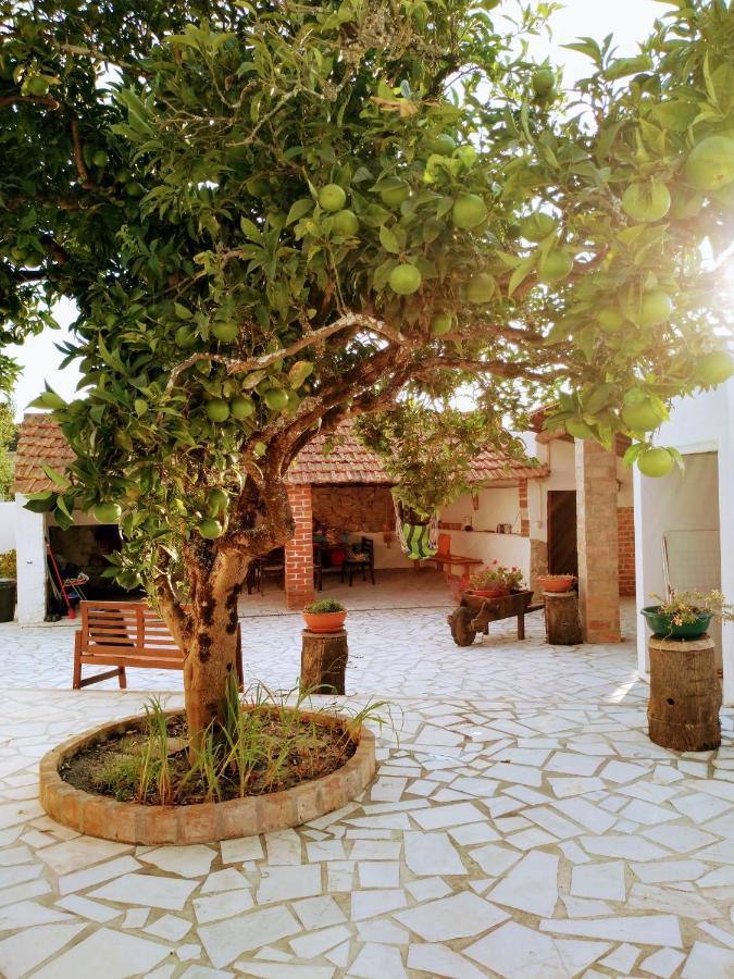 Moita Cottage Bagian luar foto